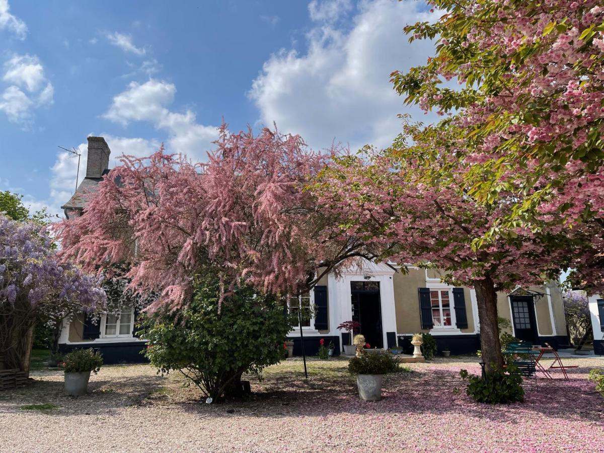 Au Presbytere De Saigneville Exterior foto